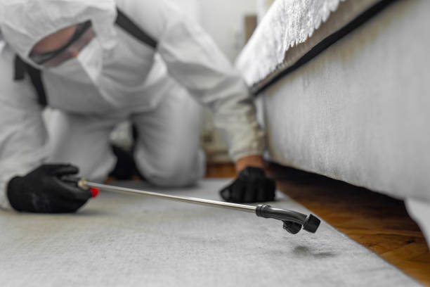 Professional Bed Bug Control technician working in Shelby County County, IA